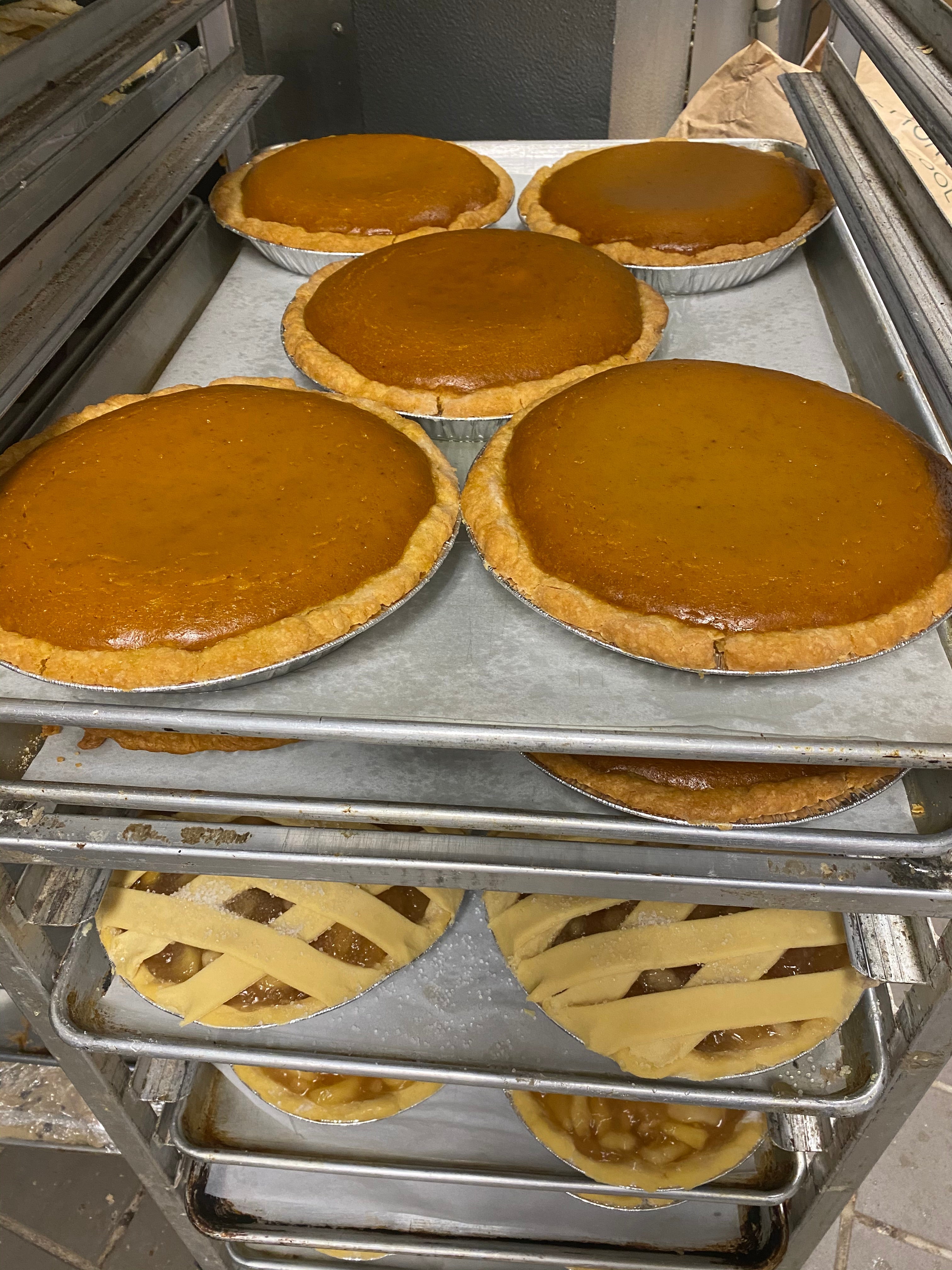PIE SHELLS