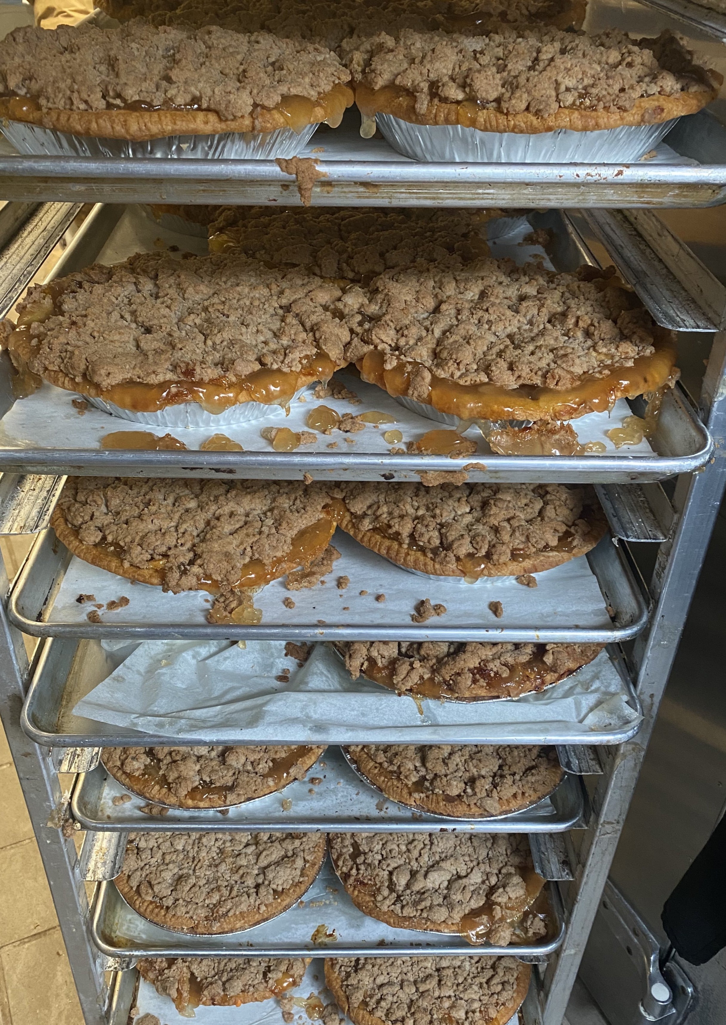 PIE SHELLS